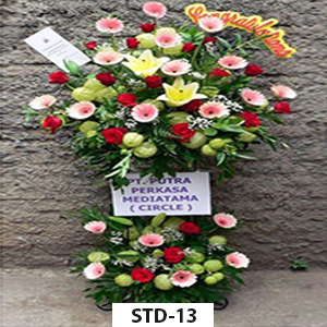 STD-13
